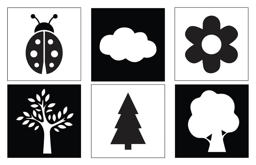 A series of black and white high contrast image including a ladybird, a cloud, a flower, and three different types of tree